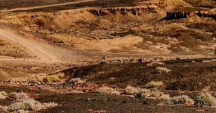 媒体人：CBA新赛季特许鞋名单仅剩胡明轩和赵继伟